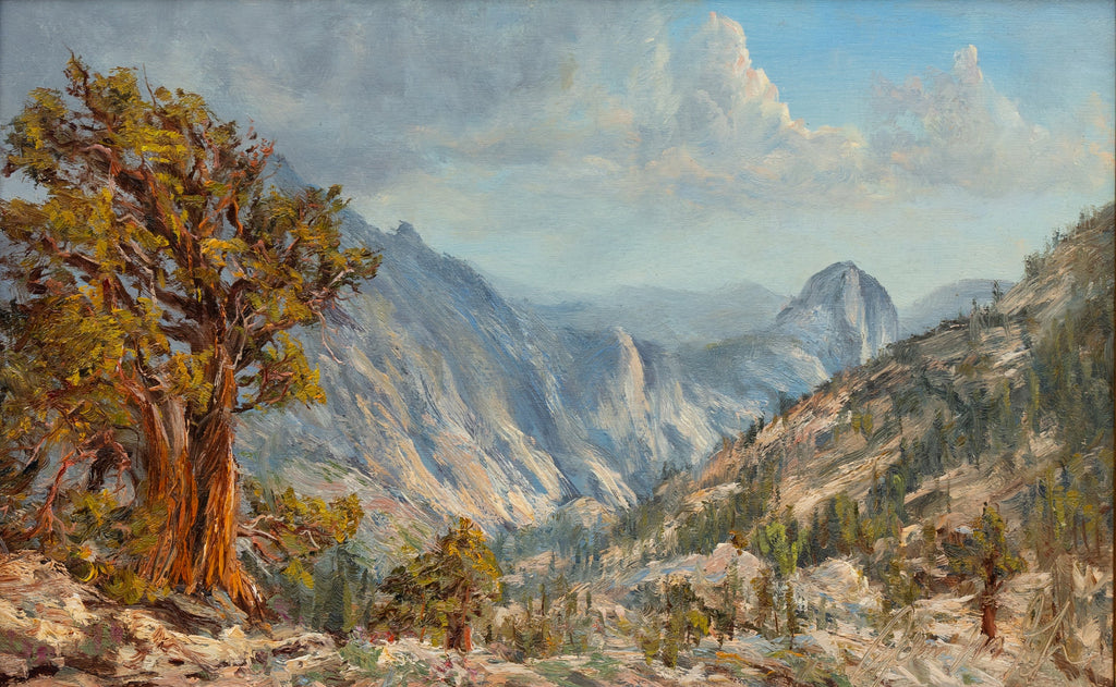 Anceint Junipers Above Olmsted Point