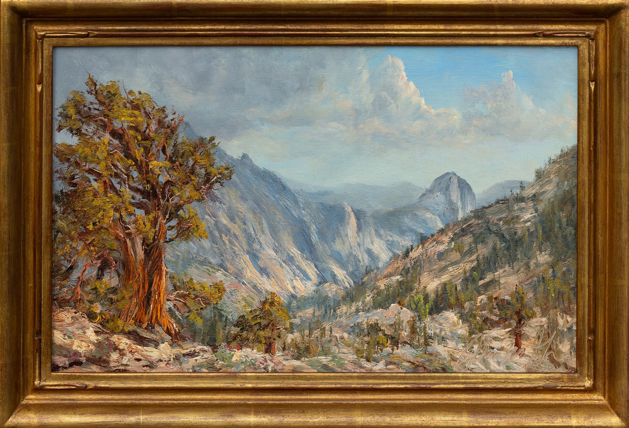 Anceint Junipers Above Olmsted Point Shop_Represented_Artist James McGrew 