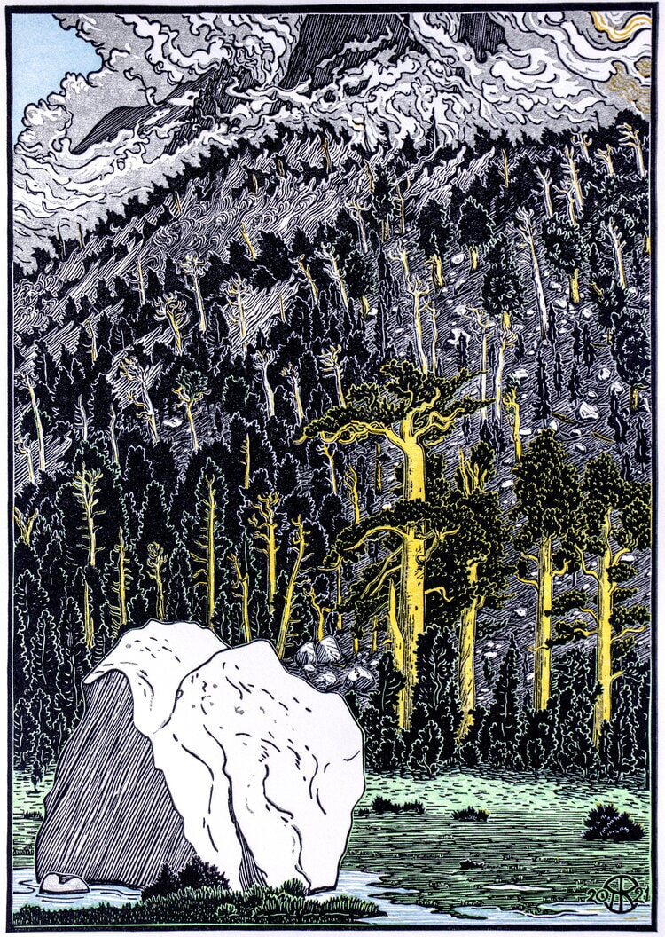 Ancient Forest, Lost Canyon Shop_Represented_Artist Tom Killion 