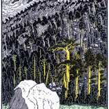 Ancient Forest, Lost Canyon Shop_Represented_Artist Tom Killion 