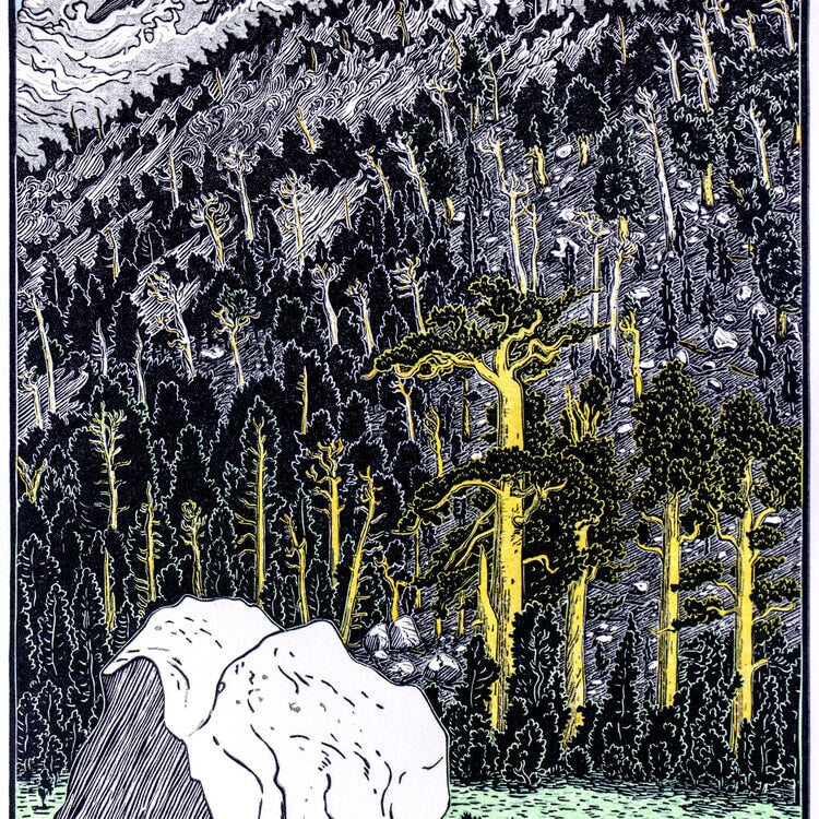 Ancient Forest, Lost Canyon Shop_Represented_Artist Tom Killion 