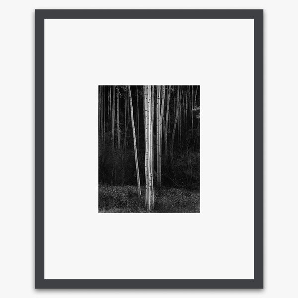 aspens-vertical-shopsmallprint
