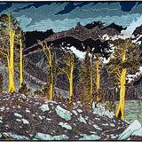 Big Arroyo, Foxtail Pines Shop Tom Killion 