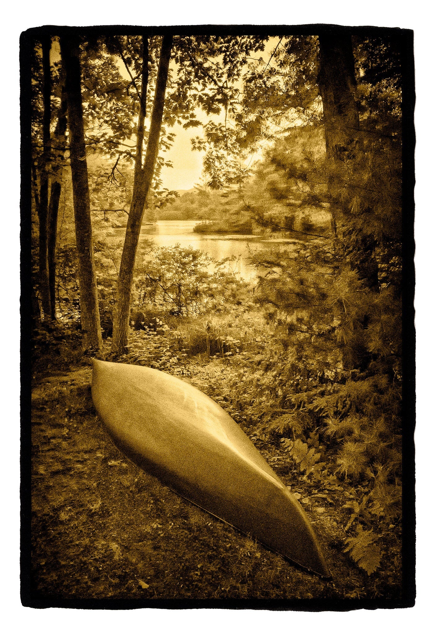 Canoe in Woods, Maine Shop_Represented_Artist Dan Burkholder 