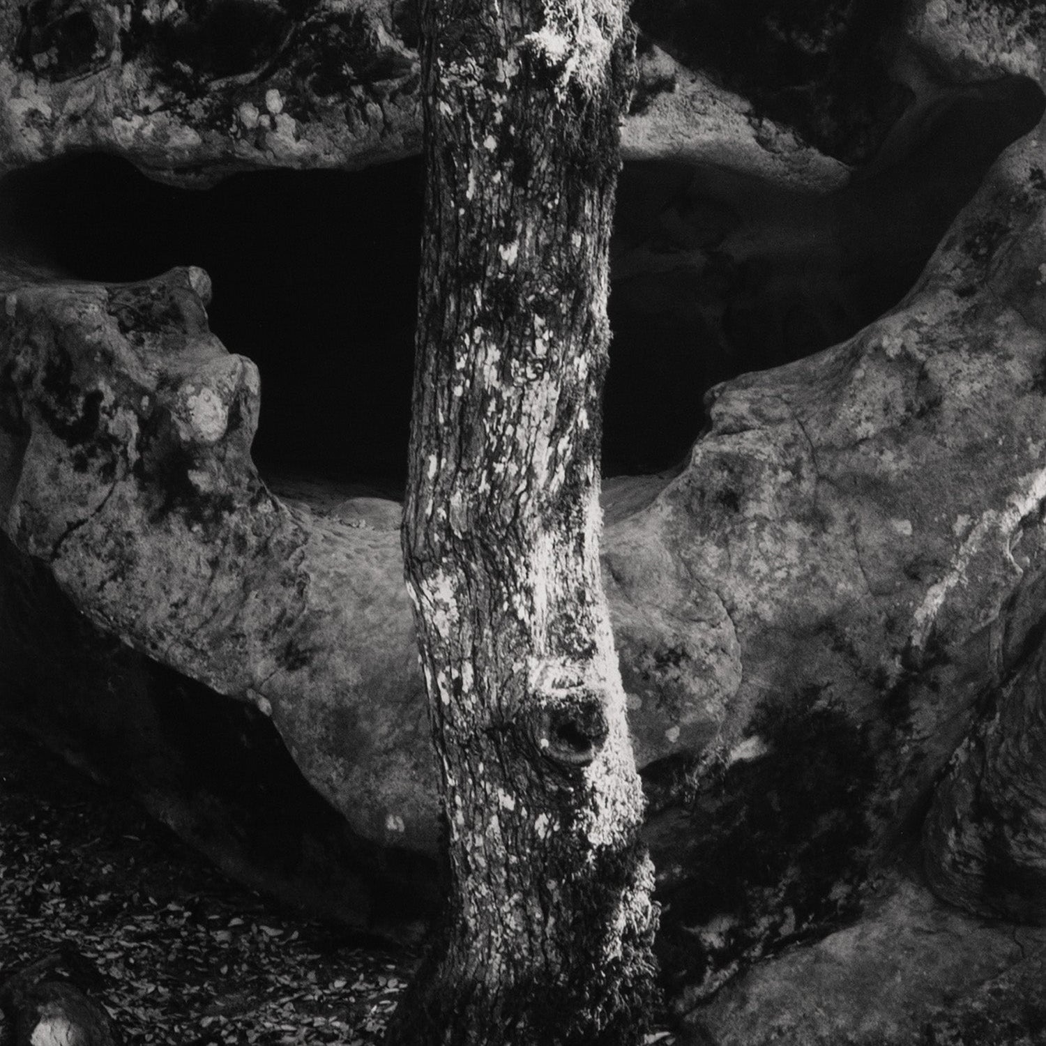 Castle Rock, Summit Road above Saratoga Original Photograph Ansel Adams 