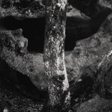 Castle Rock, Summit Road above Saratoga Original Photograph Ansel Adams 