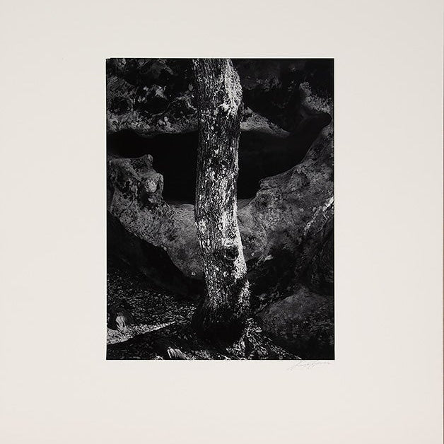 Castle Rock, Summit Road above Saratoga Original Photograph Ansel Adams 