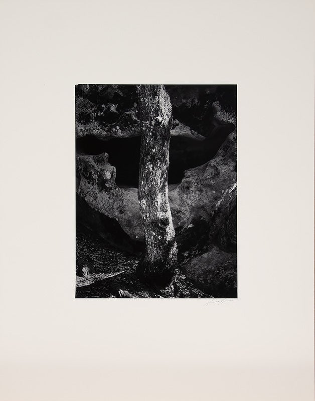 Castle Rock, Summit Road above Saratoga Original Photograph Ansel Adams 