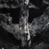 Castle Rock, Summit Road above Saratoga Original Photograph Ansel Adams 
