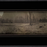 Daguerreotype: A Mystical Mirror Reflecting Yosemite Workshops Mike Robinson 