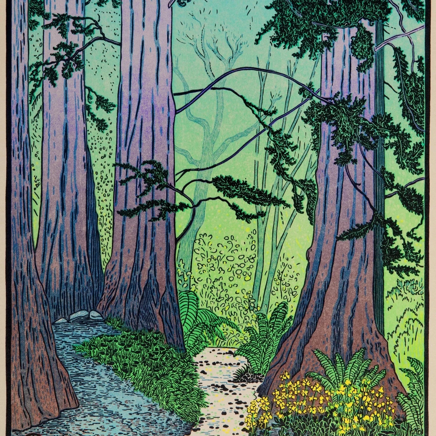 Dawn Redwoods Shop_Represented_Artist Tom Killion 