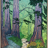 Dawn Redwoods Shop_Represented_Artist Tom Killion 