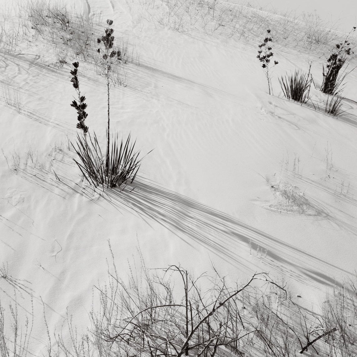 Dunes, Hazy Sun, White Sands National Monument, New Mexico explore photographs The Ansel Adams Gallery 