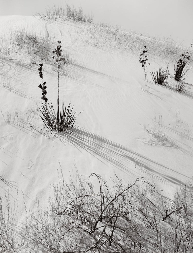Dunes, Hazy Sun, White Sands National Monument, New Mexico