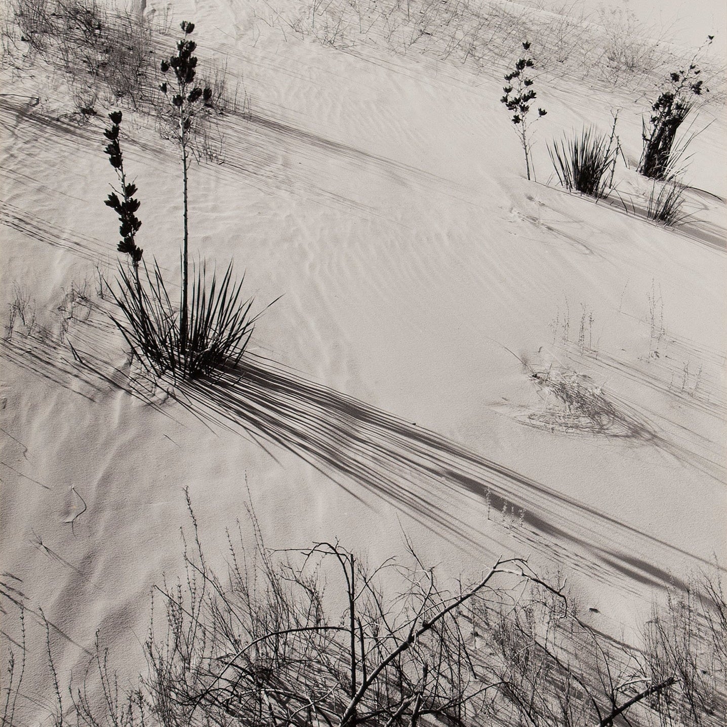 Dunes, Hazy Sun, White Sands National Monument Original Photograph Ansel Adams 