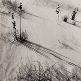 Dunes, Hazy Sun, White Sands National Monument Original Photograph Ansel Adams 