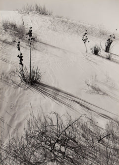Dunes, Hazy Sun, White Sands National Monument Original Photograph Ansel Adams 