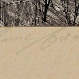 Dunes, Hazy Sun, White Sands National Monument Original Photograph Ansel Adams 
