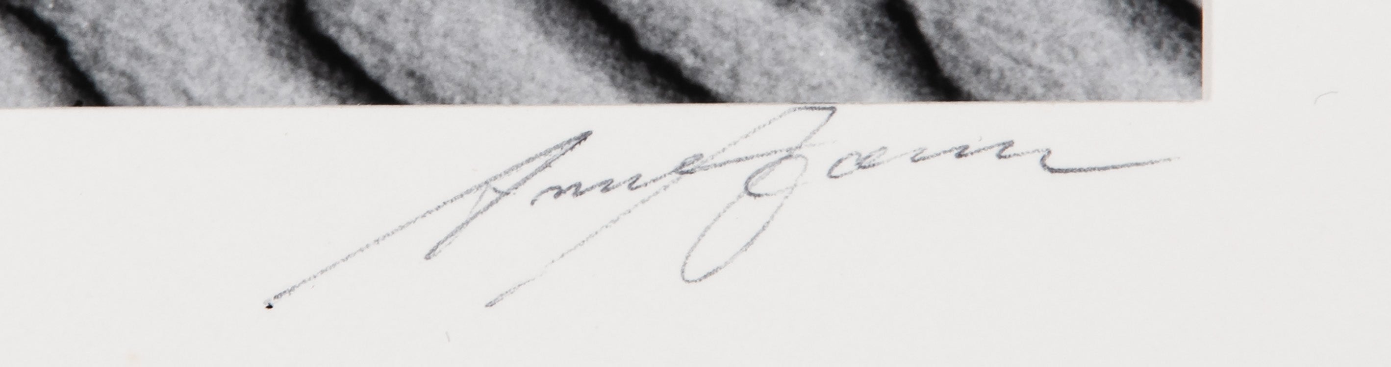 Dunes, Oceano Original Photograph Ansel Adams 