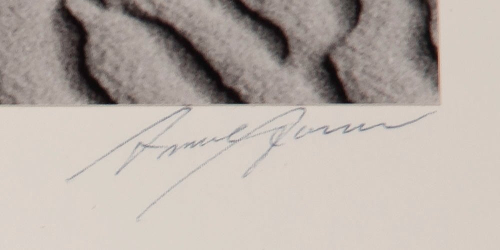 Dunes, Oceano Original Photograph Ansel Adams 