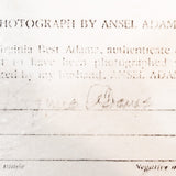 Dust Storm, Taos, New Mexico Original Photograph Ansel Adams 