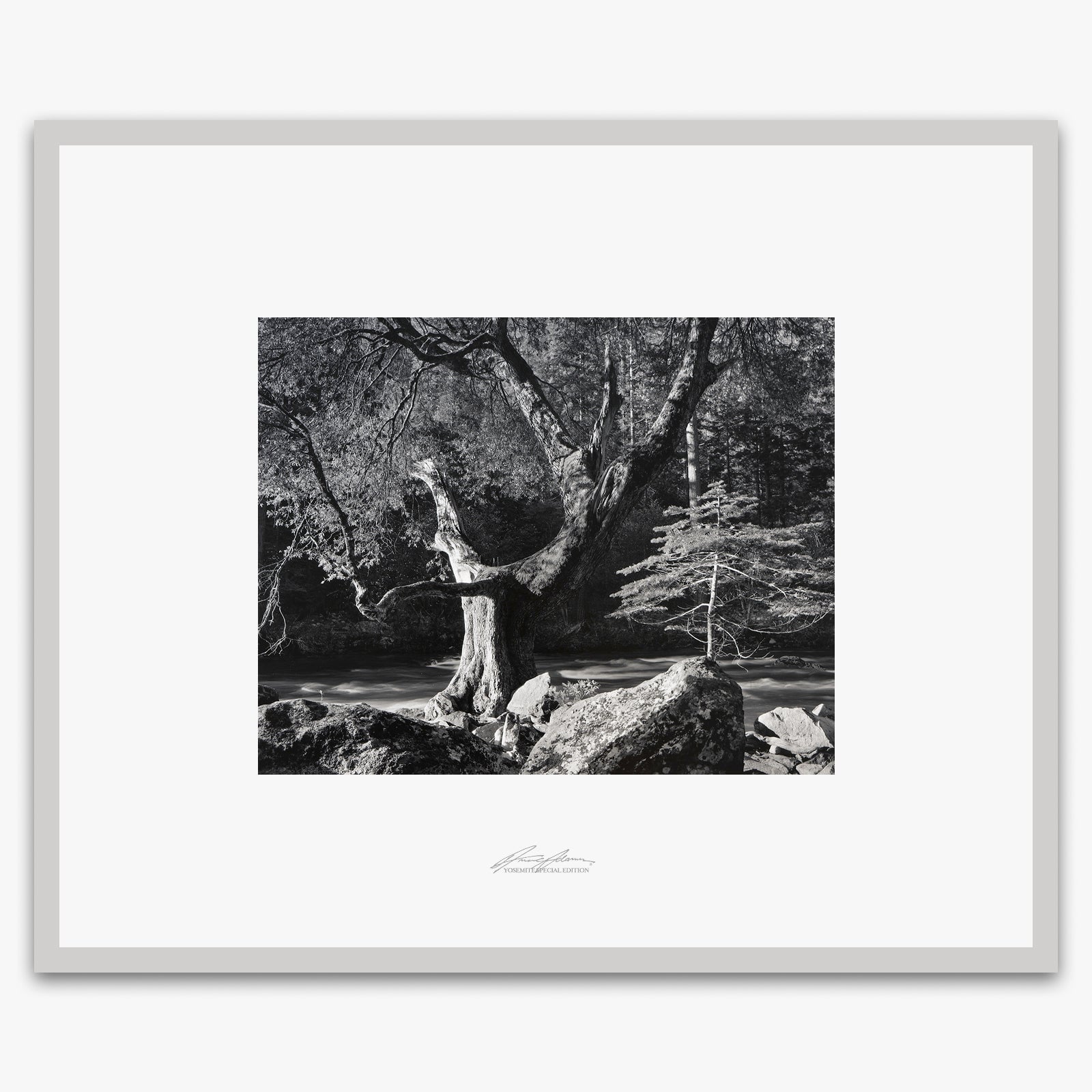Early Morning, Merced River Shop_Repro_SEP The Ansel Adams Gallery Framed Standard German Silver Metal 