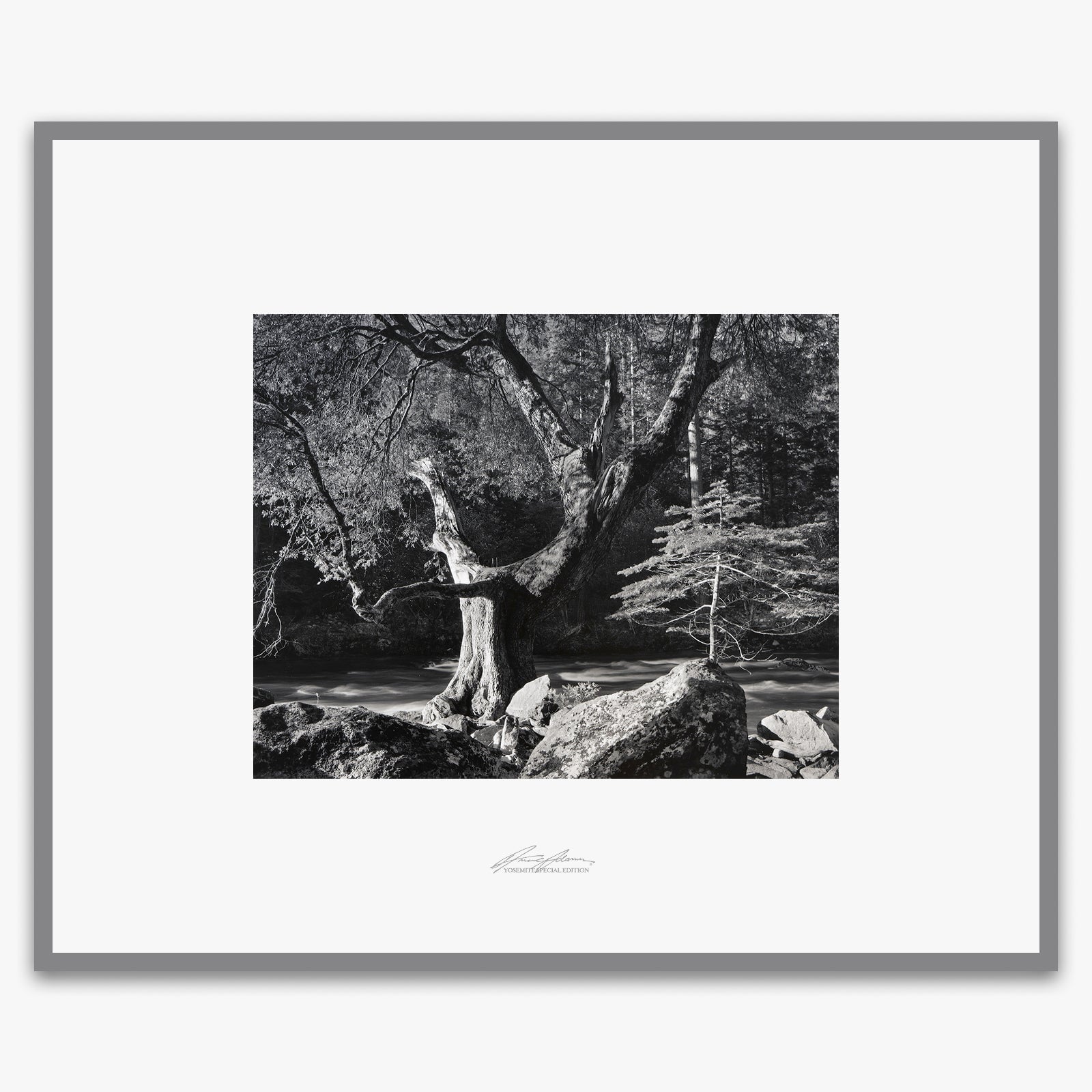 Early Morning, Merced River Shop_Repro_SEP The Ansel Adams Gallery Framed Standard Premium Gray Welded Frame 