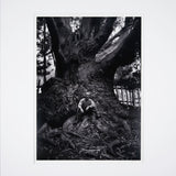 Edward Weston, Carmel Highlands Original Photograph Ansel Adams 