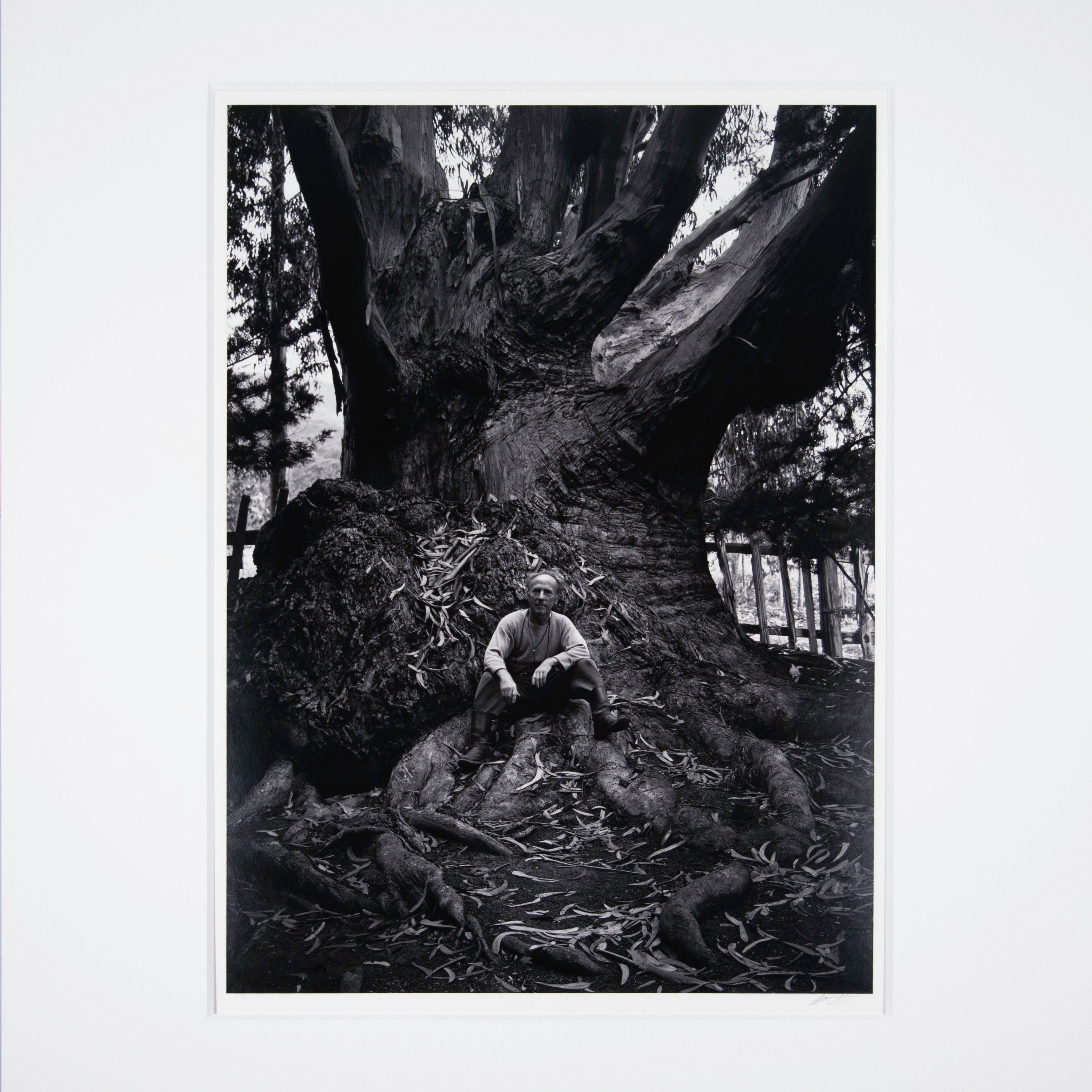 Edward Weston, Carmel Highlands Original Photograph Ansel Adams 