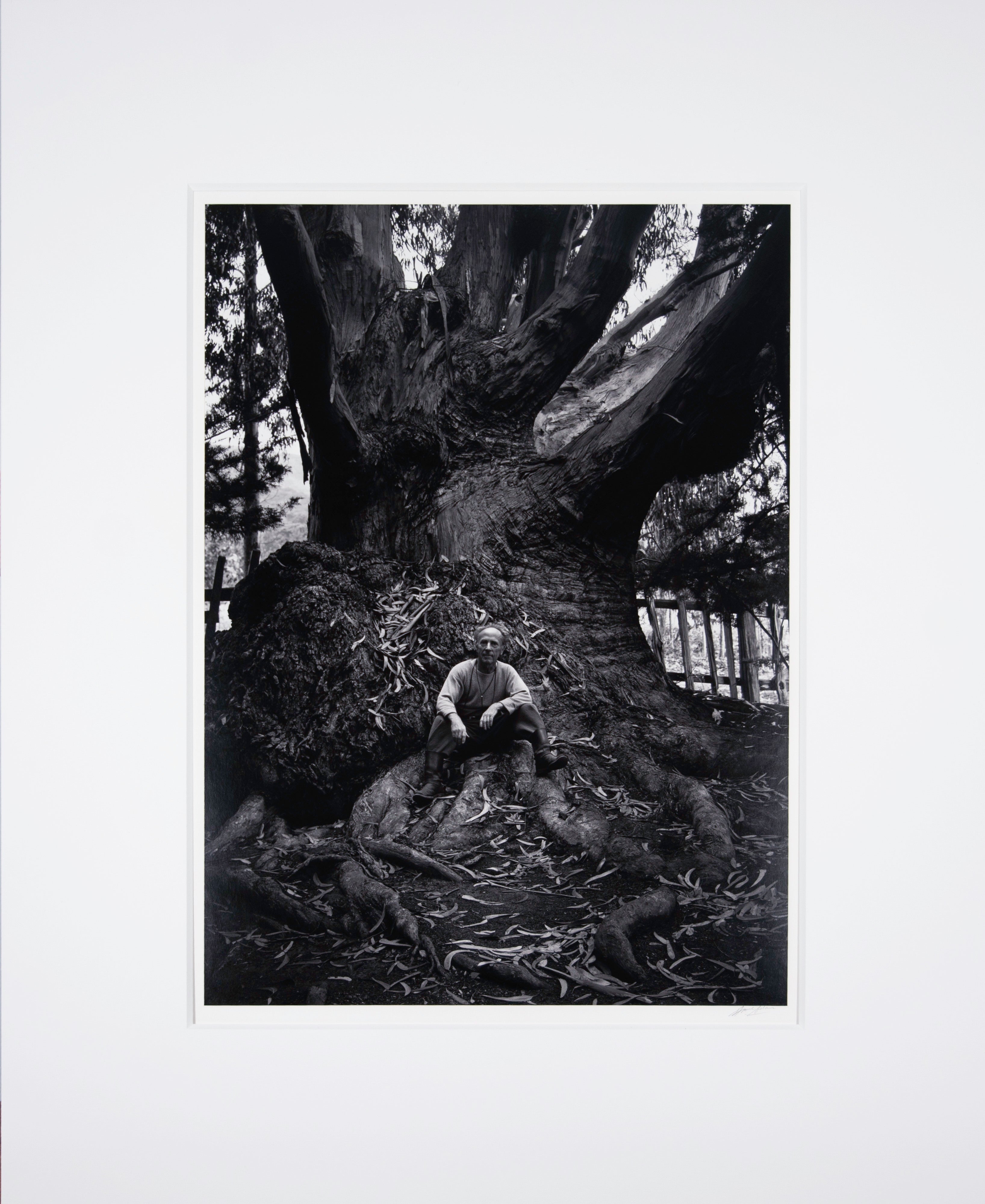 Edward Weston, Carmel Highlands Original Photograph Ansel Adams 