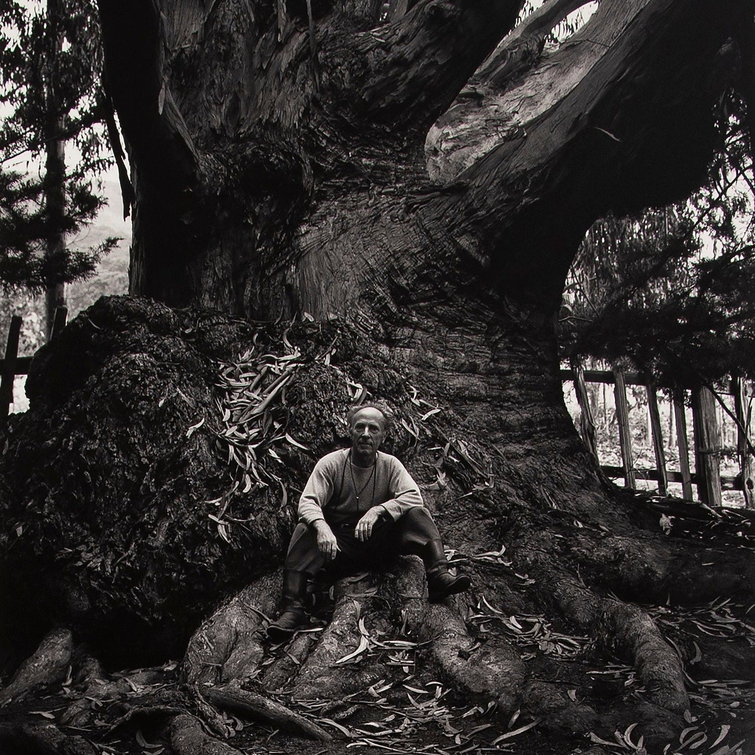 Edward Weston, Carmel Highlands Original Photograph Ansel Adams 