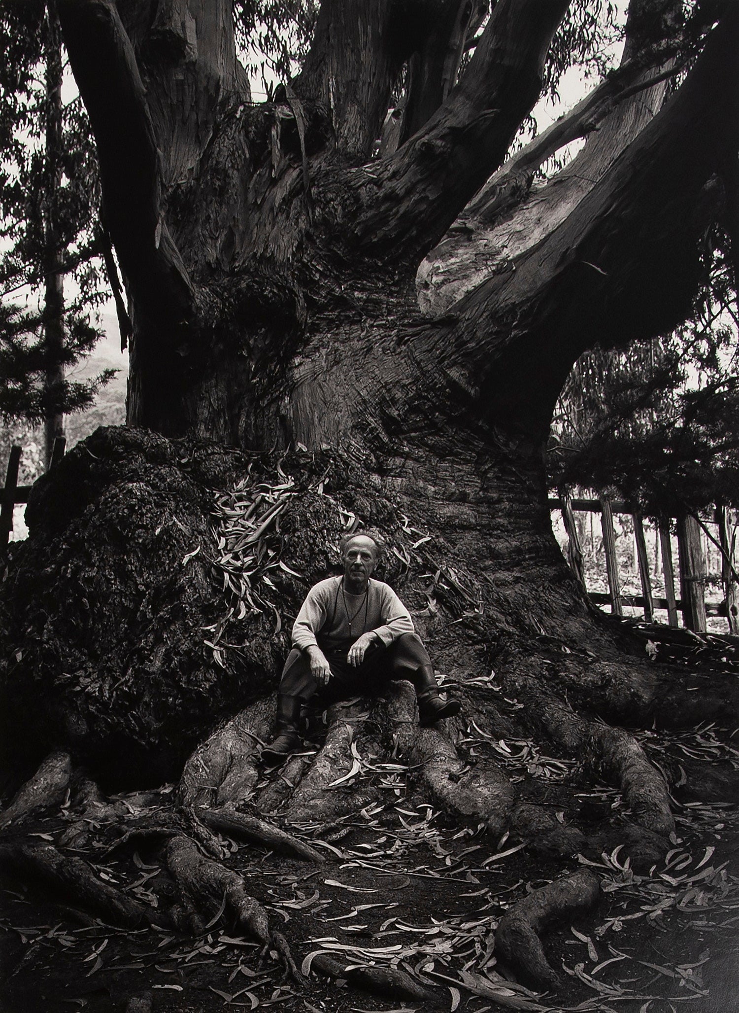 Edward Weston, Carmel Highlands Original Photograph Ansel Adams 