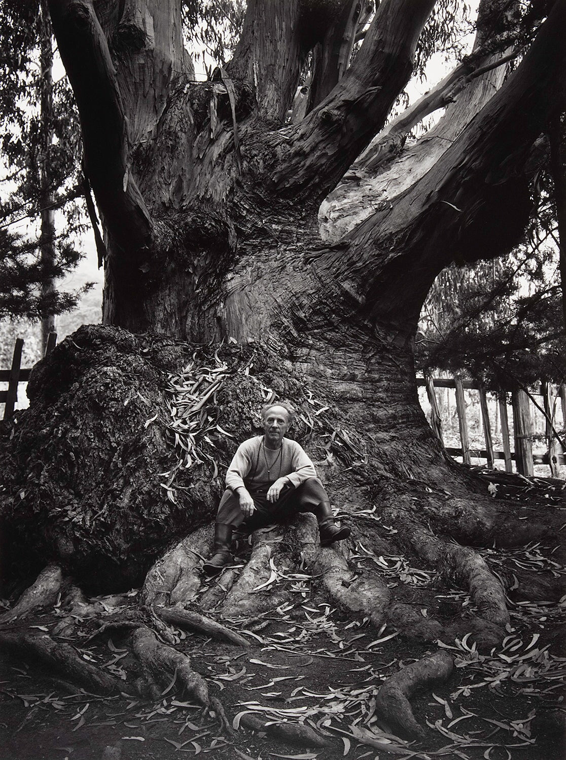 Edward Weston, Carmel Highlands Original Photograph Ansel Adams 