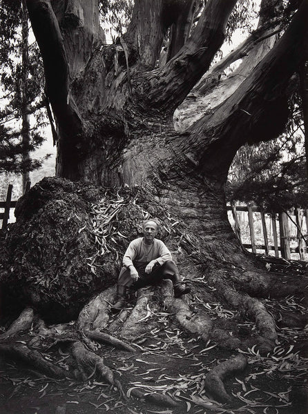 Edward Weston, Carmel Highlands – The Ansel Adams Gallery