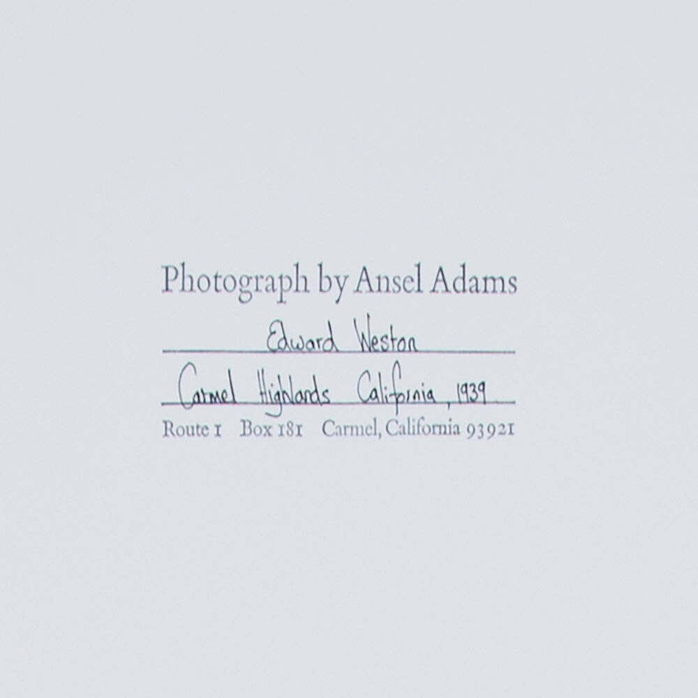 Edward Weston, Carmel Highlands Original Photograph Ansel Adams 