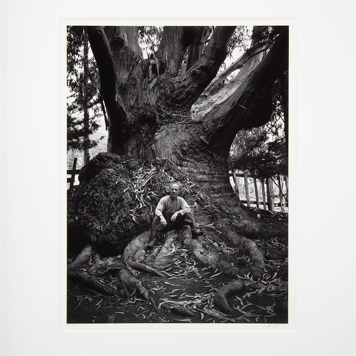 Edward Weston, Carmel Highlands Original Photograph Ansel Adams 