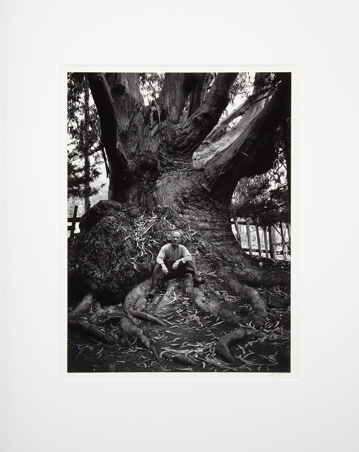 Edward Weston, Carmel Highlands Original Photograph Ansel Adams 