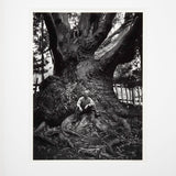 Edward Weston, Carmel Highlands Original Photograph Ansel Adams 