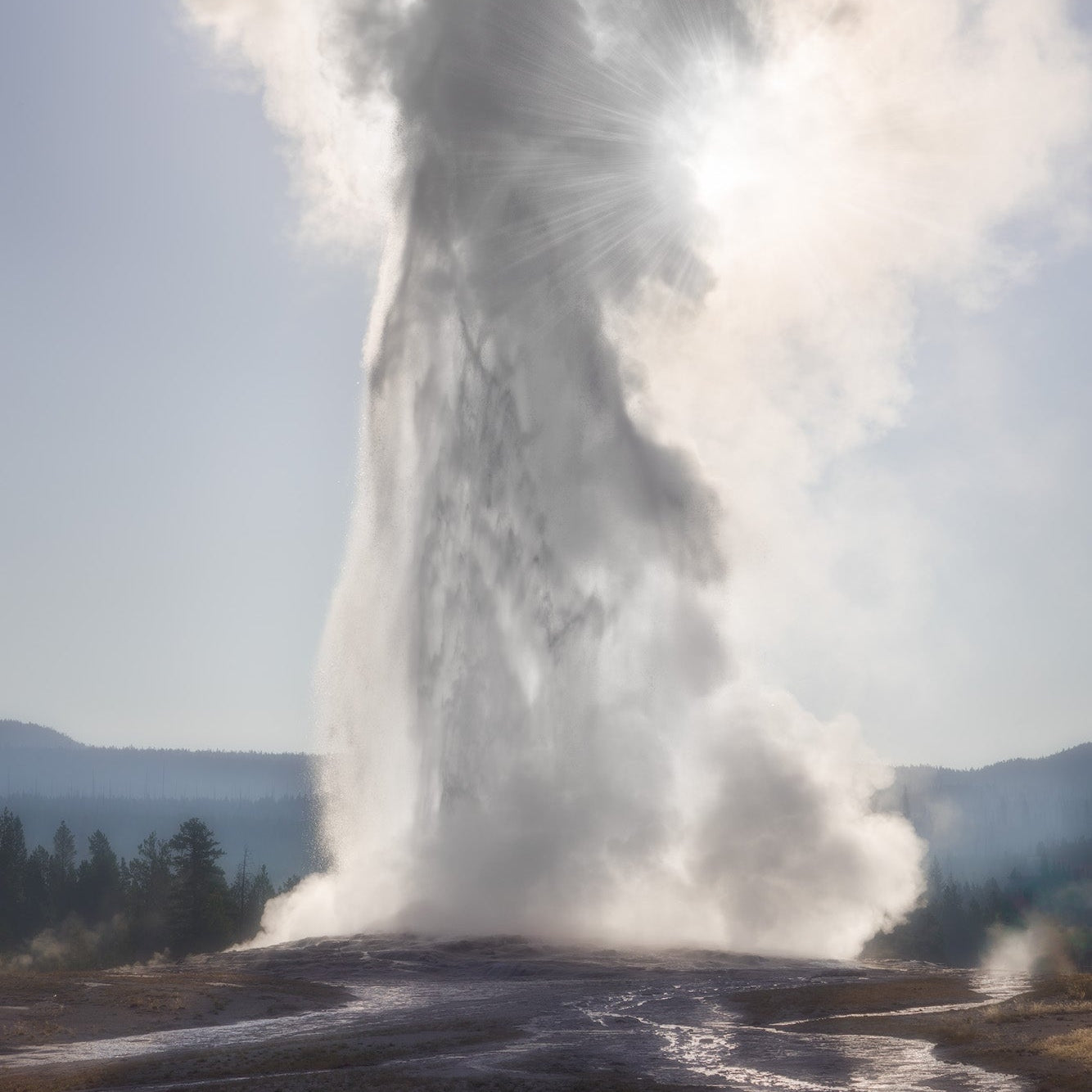 Eye of the Dragon, Yellowstone Shop_Represented_Artist Charlotte Gibb 