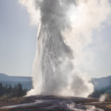 Eye of the Dragon, Yellowstone Shop_Represented_Artist Charlotte Gibb 