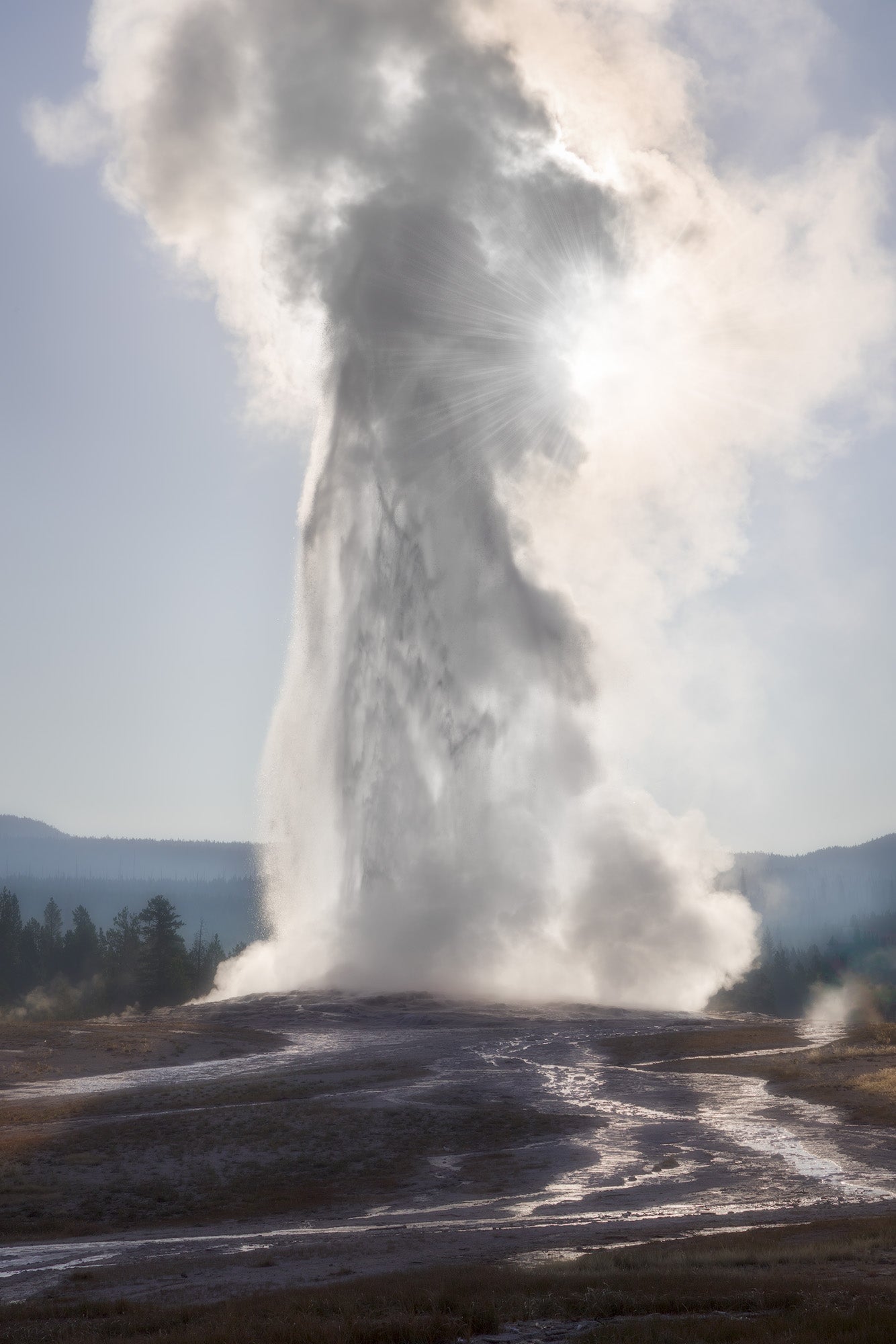 Eye of the Dragon, Yellowstone Shop_Represented_Artist Charlotte Gibb 