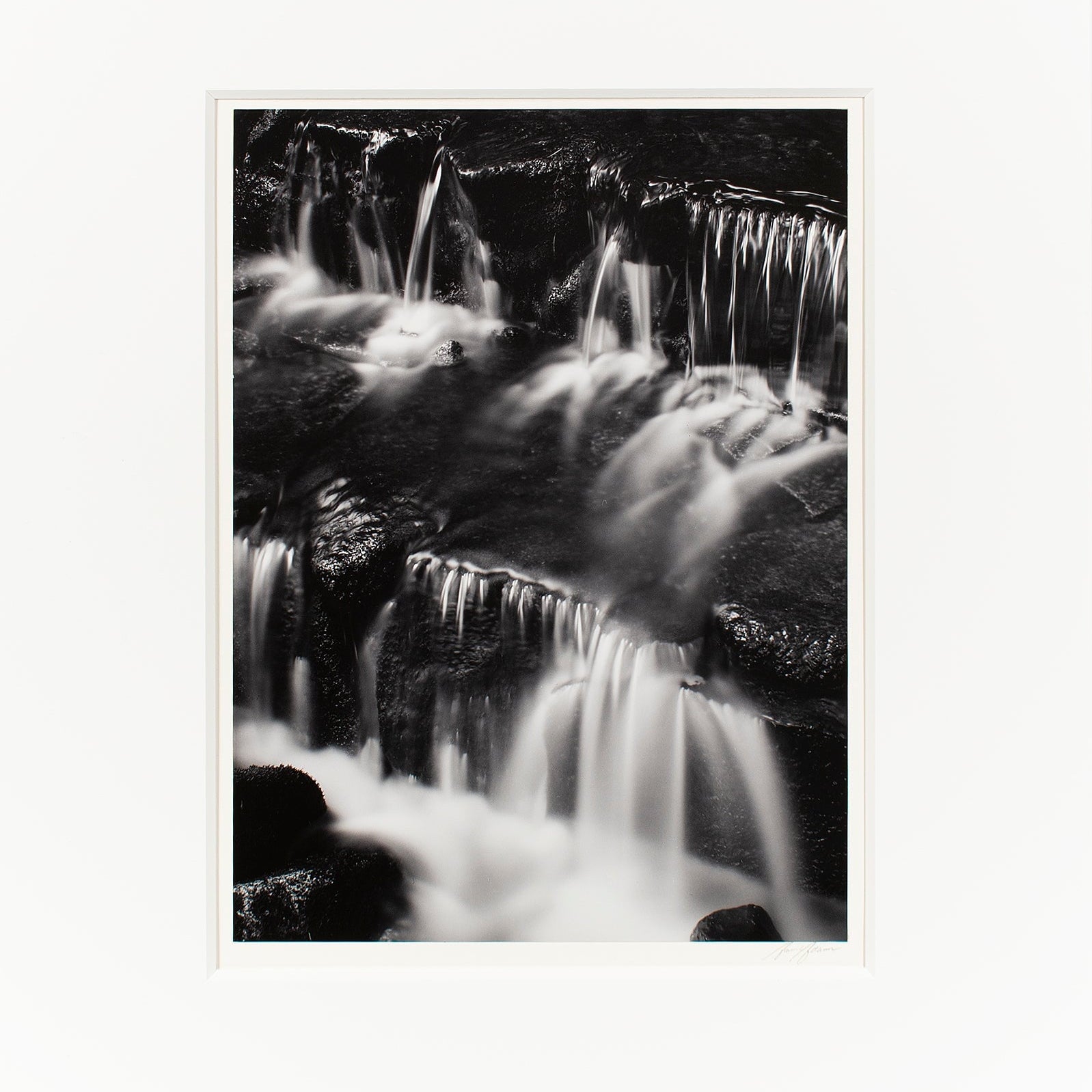 Fern Springs, Dusk Original Photograph Ansel Adams 