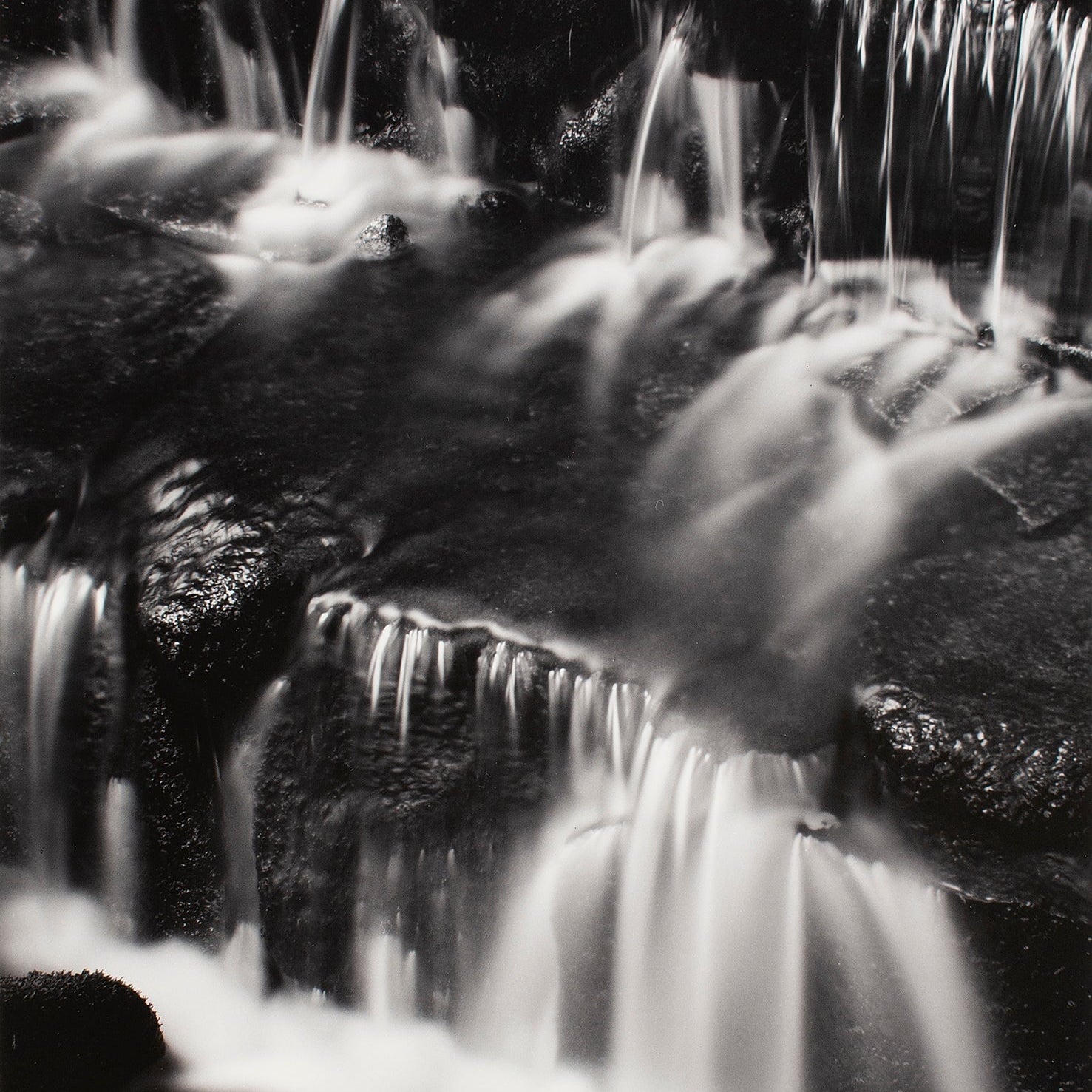 Fern Springs, Dusk Original Photograph Ansel Adams 