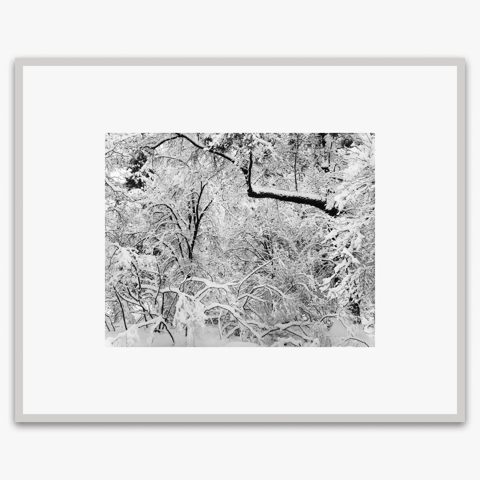 Fresh Snow Shop_Medium_Print The Ansel Adams Gallery German Silver Metal 