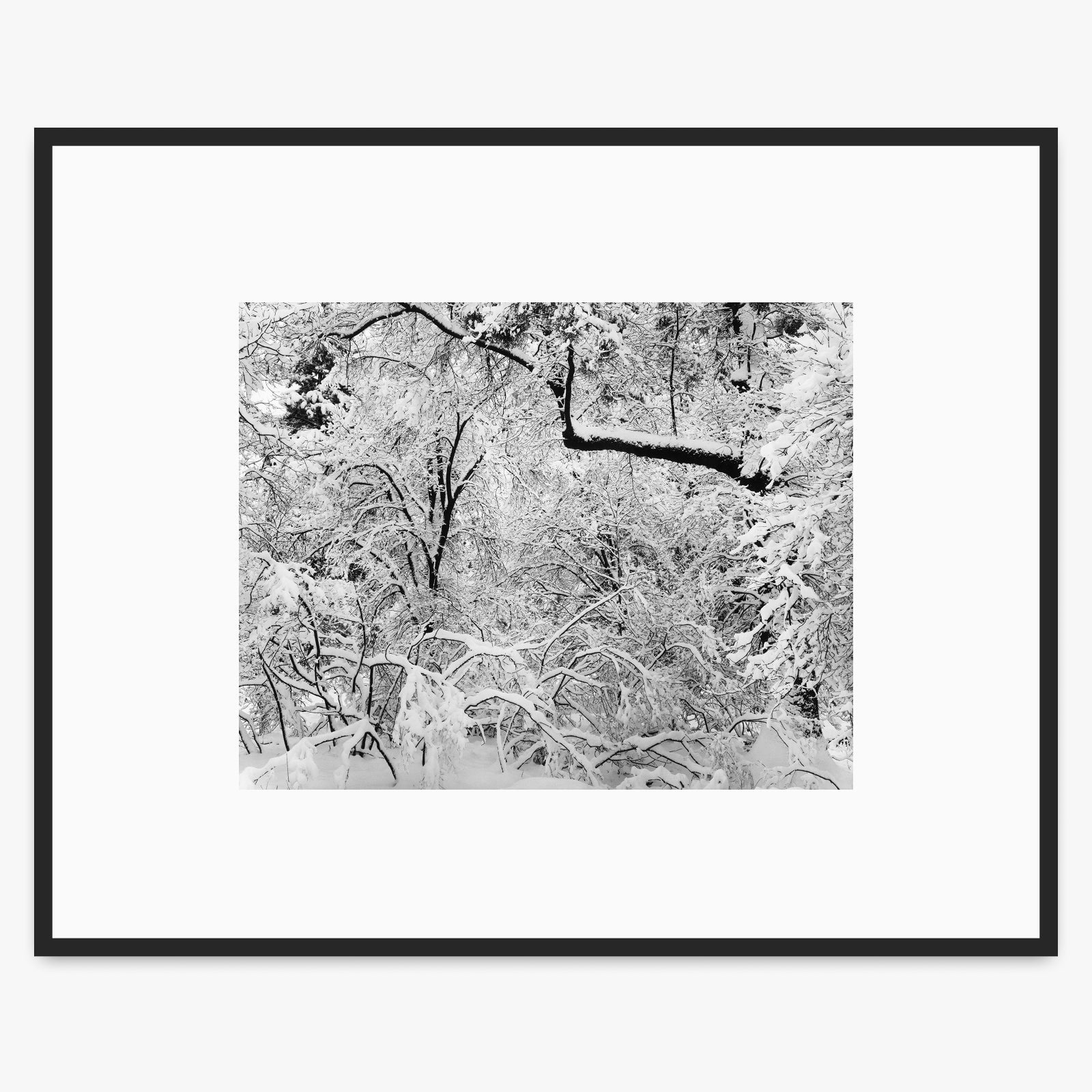 Fresh Snow Shop_Medium_Print The Ansel Adams Gallery Matte Black Metal 
