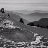 From Hurricane Hill, Olympic National Park Original Photograph Ansel Adams 