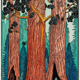 Giant Sequoias II Shop_Represented_Artist Tom Killion 