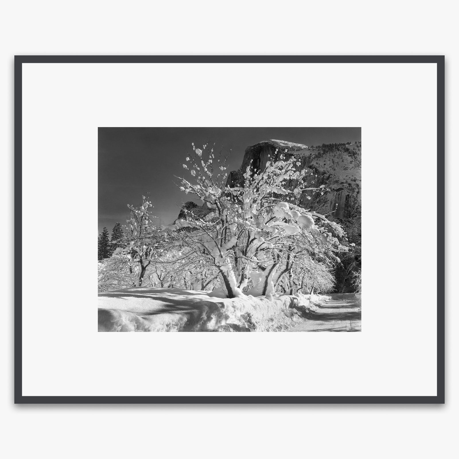 Half Dome, Apple Orchard Shop_Medium_Print The Ansel Adams Gallery Contrast Gray Metal 