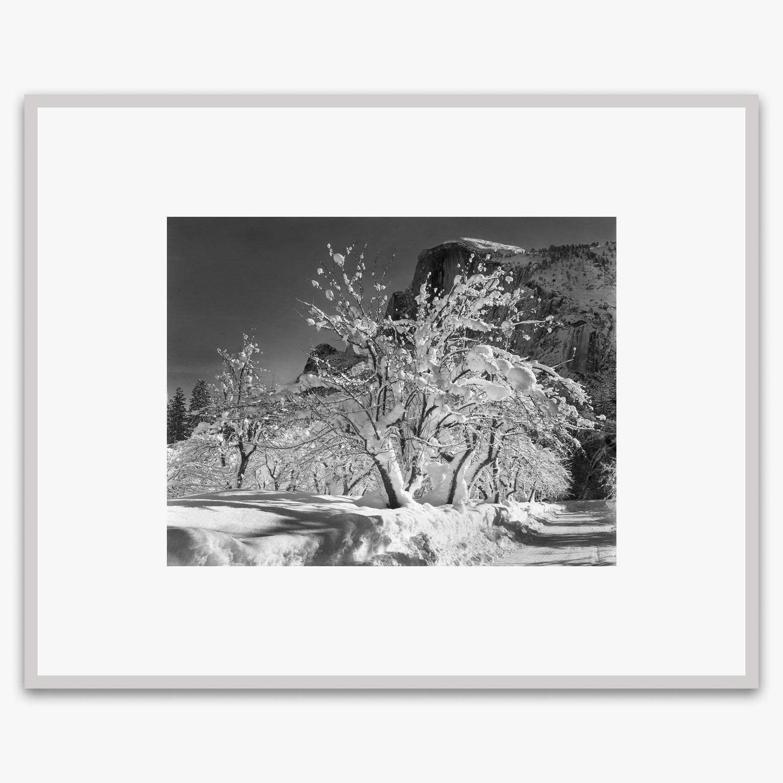 Half Dome, Apple Orchard Shop_Medium_Print The Ansel Adams Gallery German Silver Metal 