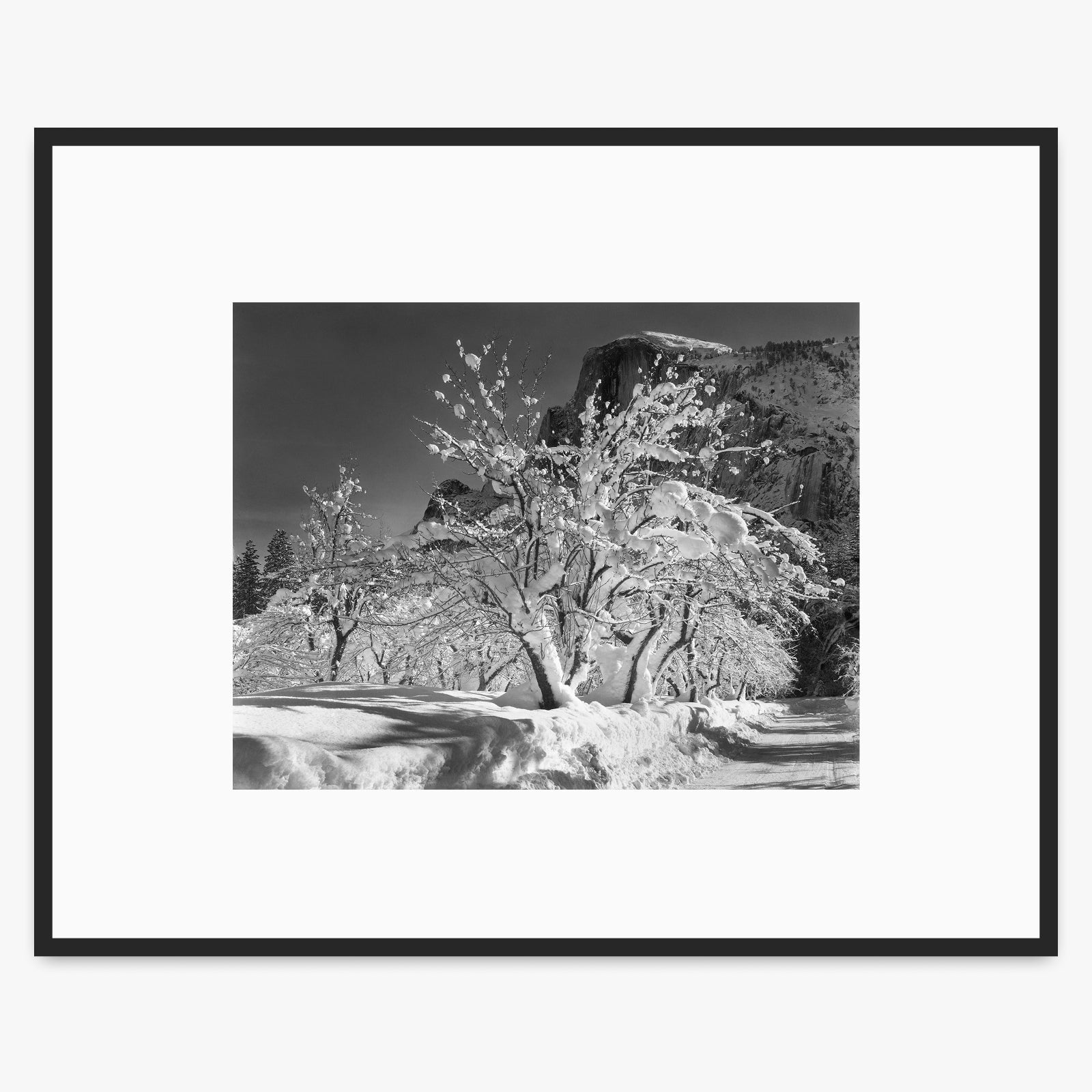 Half Dome, Apple Orchard Shop_Medium_Print The Ansel Adams Gallery Matte Black Metal 